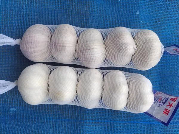 e388f228-16a5-48b3-ae4e-5e258c2c5c09(001)