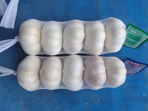 5d7308d6-02b7-428b-b502-65436713c496(001) 5d7308d6-02b7-428b-b502-65436713c496(001)