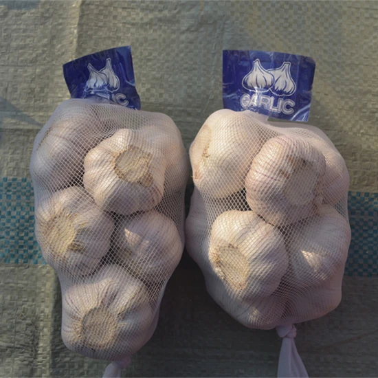 Bagged Peeled Garlic