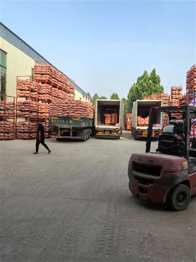 Grand sac d'ail blanc